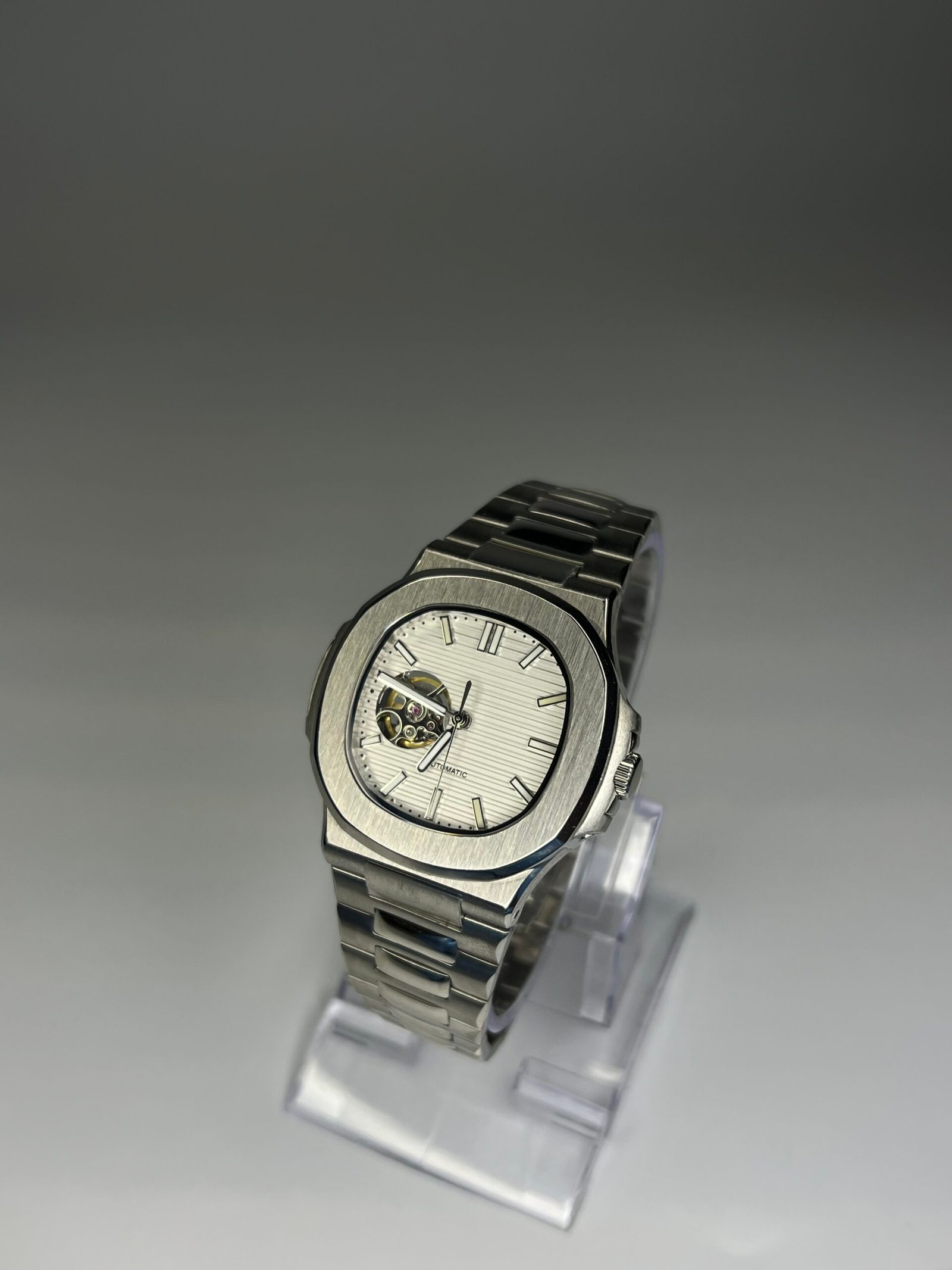 White Nautilus - Image 2